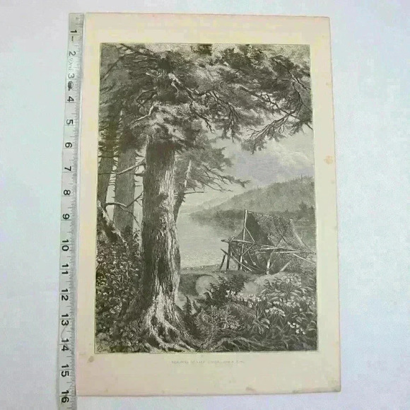Art Print Hemlock Trees Lake Otsego New York Nature John A. Hows Antique 1874 - Picture 8 of 12